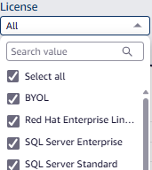 Software License Costs
